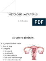 Histologie Uterusvf