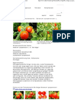 De Colgar - Solanum Lycopersicum L