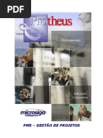 P08_Apostila de PMS