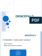 DIENCÉFALO