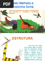 Estrutura Gato Malhado Andorinha Sinha