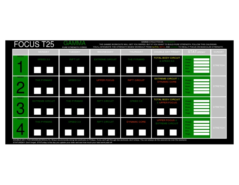 t25-gamma-hybrid