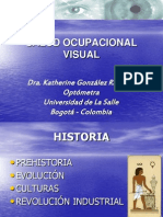Salud Ocupacional Visual