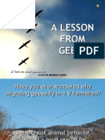 ask-the-geese