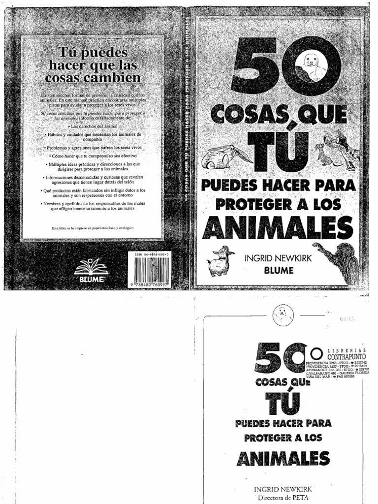 Trampa para gatos viva humana para gatos callejeros, 1 paquete de trampa  para mapaches, trampa para ardillas, trampa de jaula de animales para