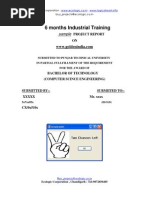 Download Programming Project Ideas With Sample Project Report on Project to Promote Art Work by Puneet Arora  SN15815164 doc pdf