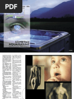 Download NOUVELLEVISIONSPA2007-1 by feron5563 SN15815961 doc pdf