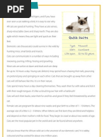 Download Cats - Reading comprehension for kids by Primary Leapcouk SN158179112 doc pdf