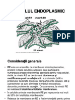 Curs 6 - Reticulul Endoplasmic