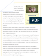 Dogs - Reading Comprehension For Kids