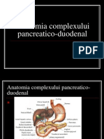 Anatomia Complexului Pancreatico-Duodenal