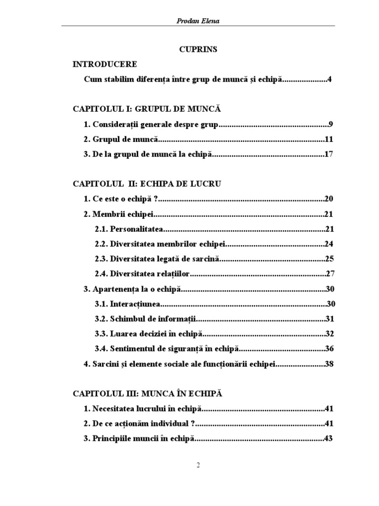 Management - Echipa de Lucru | PDF