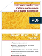 Capítulo 7 Identificando, Avaliando e Implementando Novas Oportunidades de Negocios