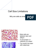 Cell Size Limitations: Why Are Cells So Small?