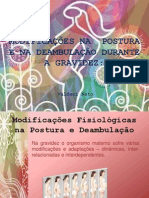 Seminario Mudanças Na Gravidez