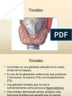 Tiroides