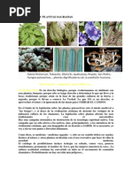Treball de Recerca | PDF | Realidad | Mitología
