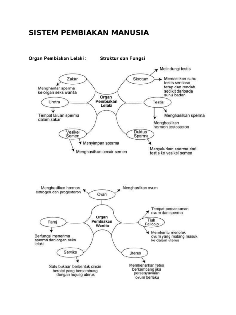 Sistem Pembiakan Manusia  PDF