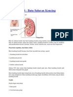 Materi KMB - LP Colic Renal