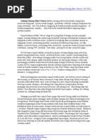 Download Materi Tukang Batu by Martin Buaria Neria SN158484239 doc pdf