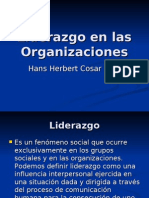 Liderazgo en Las Organizaciones