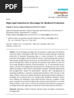 Download High Lipid Induction in Microalgae for Biodiesel Production by Maximiliano DAddio Noffs SN158490682 doc pdf