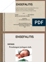 Ensefalitis Slide