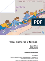 Vida Numeros y Formas