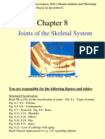 Joints of the Skeletal System