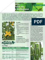 Fiche Concombre Bio en Serre