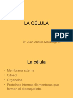 Histologia - 02 - La Celula.23.03.09