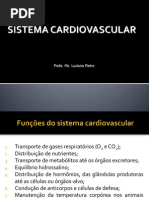 Aula 1 - Sistema Cardiovascular