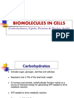 02-Biomolecules