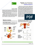 EQUAÇÃO DA VIDA: Reprodução Humana - Conceitos Básicos: TEORIA e PRÁTICA. Biologia