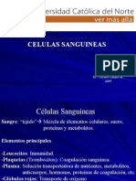 Histologia - 06 - Celulas Sanguineas.27.04.09