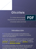 Procesos Biologicos - 11 - Glucolisis.04.05.09