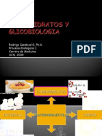 Procesos Biologicos - 05 - Carbohidratos y Glicobiologia.30.03.09