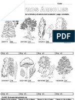 Divisiones 2 Cifras - Árboles
