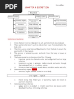 Nervous System Worksheet | Neuron | Nerve