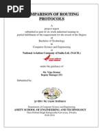 Project Report On Routing Protocols