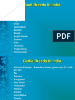 Animal Breeds in India