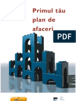 Primul Plan de Afaceri