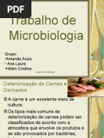 Download Trabalho de Microbiologia by Hlen Cristina SN15870213 doc pdf