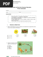 Prueba de Nivel de Ciencias Naturales 4 Basico 1