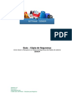 Guia - Copia de Seguranca.pdf