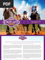 Download 2013 Finger Lakes Casino  Racetrack Media Guide by FingerLakesCasino SN158789977 doc pdf