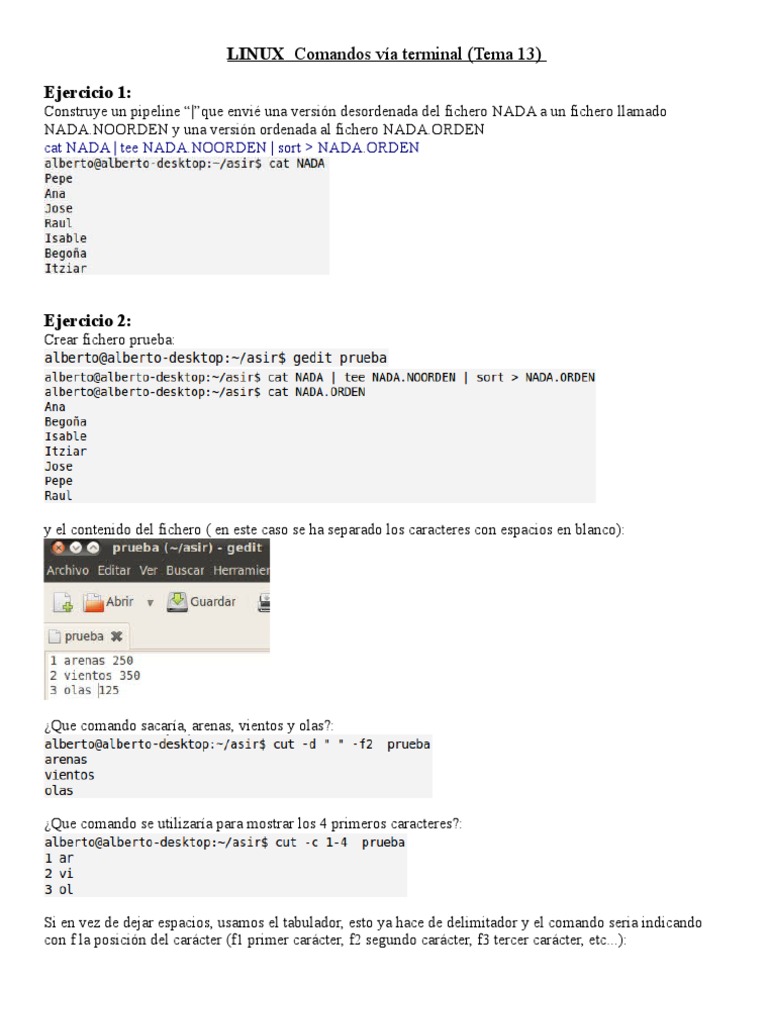 Implantacion Sistemas Operativos Ejercicios Comandos Linux | PDF ...