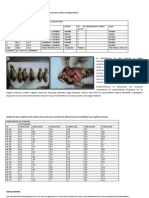 Practica de Genetica (Resultados)