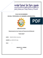 INFORME N°2 MEERCADOTECNIA-costos de Produccion Del MEZCLIMAX