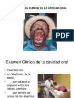 Examen Clinico de La Cavidad Oral